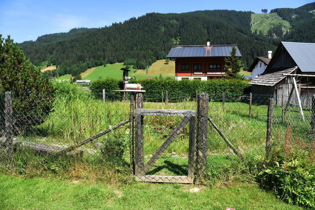 Guest house Fruhstuckspension Pachler Gosau