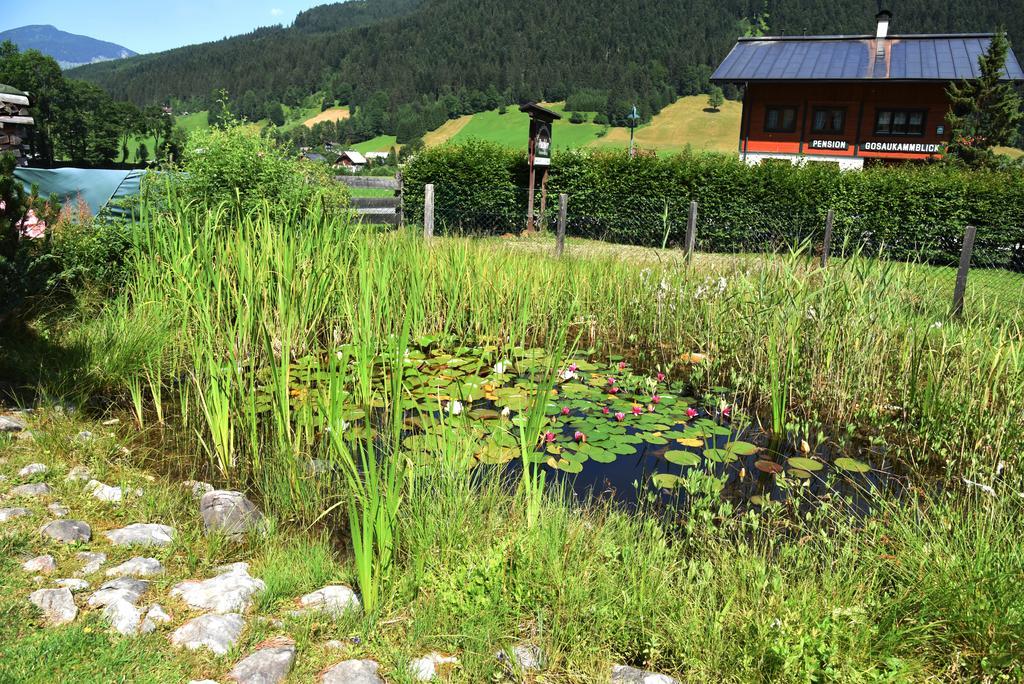 Fruhstuckspension Pachler Gosau