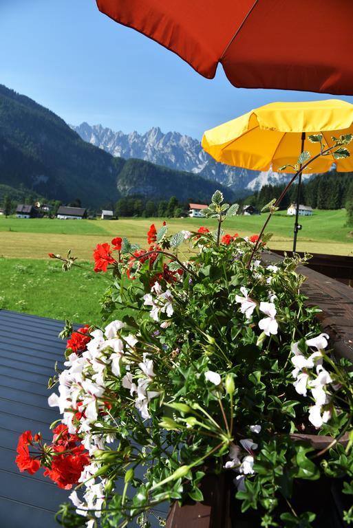 Guest house Fruhstuckspension Pachler 2*